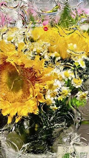 $0.2 dish soap, million-dollar Van Gogh vibes. 🌻 | Insta360 Luna Ultra