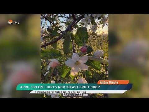 AgDay Minute 04/30/26