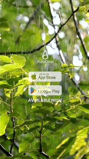 Sunlit Rain on Green Leaves — Field Recorded Sleep Sound