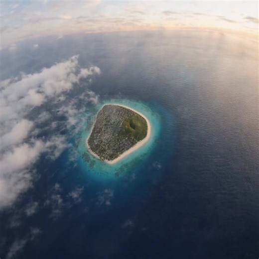 Capybara Attitude: The Wild Side of Capybaras