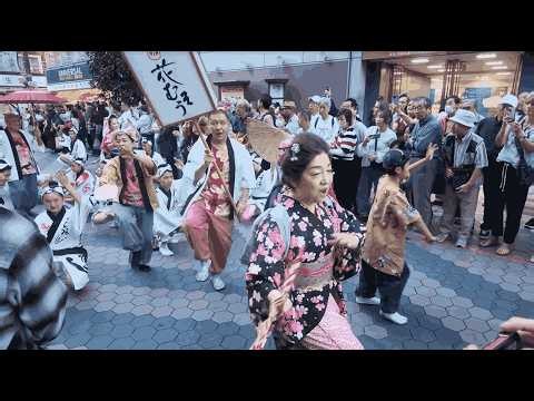 浅草雷連/点睛連/東京無双/みたか連/さくら連 流し踊り＆組踊り (｜第5回 浅草阿波おどり｜2026年10月11日(日)｜Awa Odori