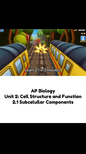AP Biology Unit 2.1: Cell Structure and Function — Subcellular Components