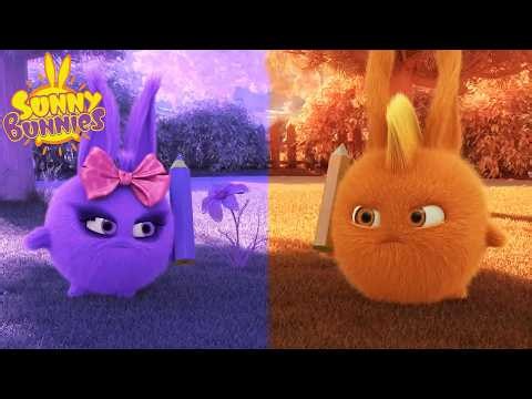 Purple or Orange? | Sunny Bunnies | Funny Cartoons For Kids