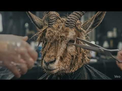 AI Documentaries