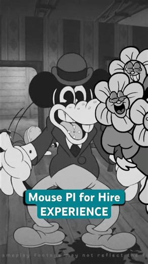 Mouse PI for Hire EXPERIENCE