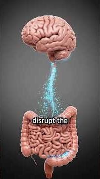 Microplastics Could Be Inside Your Brain Right Now