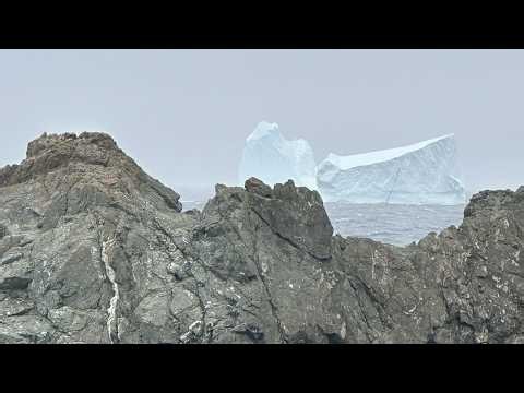 Wandering Newfoundland | Ep. 3 - Twillingate, icebergs, Gander