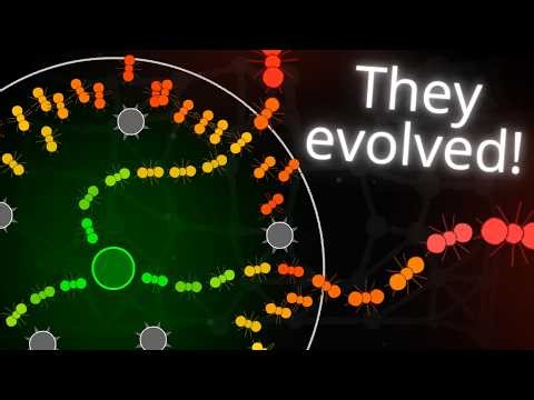 5 Most Satisfying Evolution Simulations You’ll Ever See