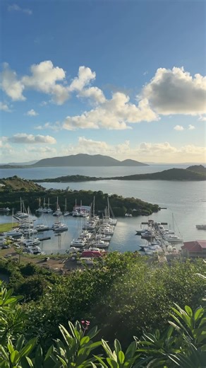 Merry Christmas from Tortola | Christmas