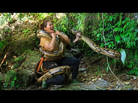 Alone in the deep forest: Narrow escape from a python's appearance, building a shelter in a tree.