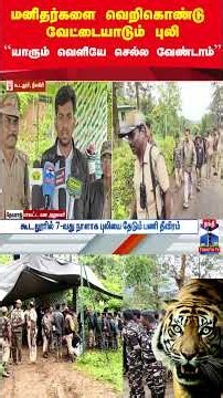 gudalur | tiger | forest | drone