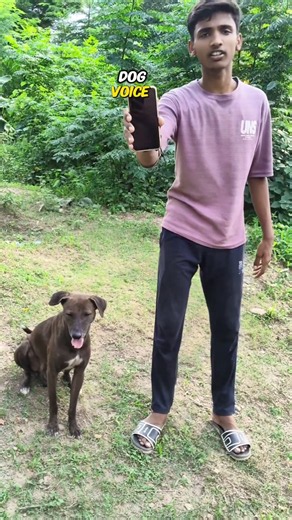 i tested dog translate 🐕 app #shorts