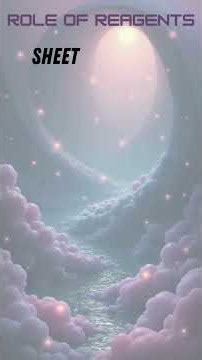 Light Sheet Fluorescence Microscopy (LSFM)