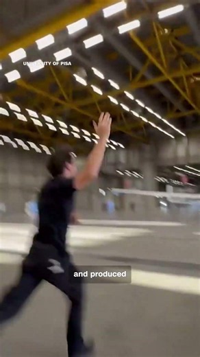 World's largest paper plane takes flight