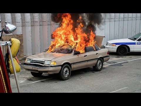 FBI vs. America's Most Dangerous Underground: Omega 7, FALN & The Mob