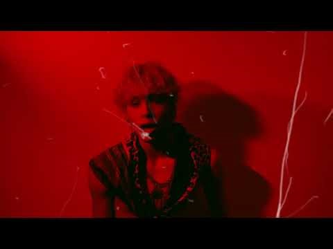 SEEB - PECAR (VIDEO OFICIAL)