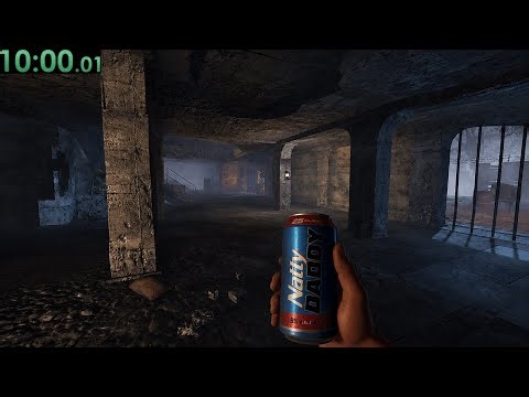 Speed Running Zombies WHILE DRUNK