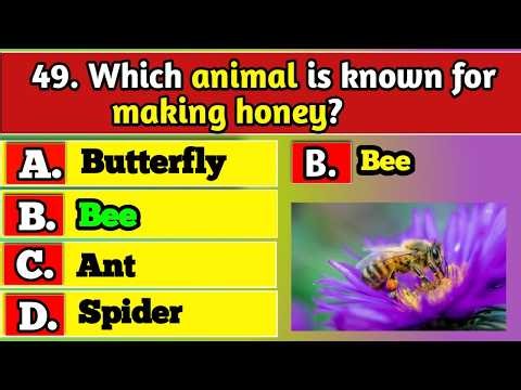 General Knowledge Trivia Quiz | Test Your Brain with Fun Questions & Ultimate Challenge Today!