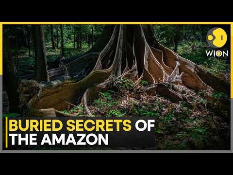 Hidden Civilisation Discovered Beneath Amazon's Wilderness | WION
