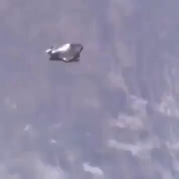Astronomy Today on X: "🚨 Alleged leaked NASA footage of the mysterious Black Knight satellite... 📷A legendary object said to have orbited Earth for 13,000 years." / X