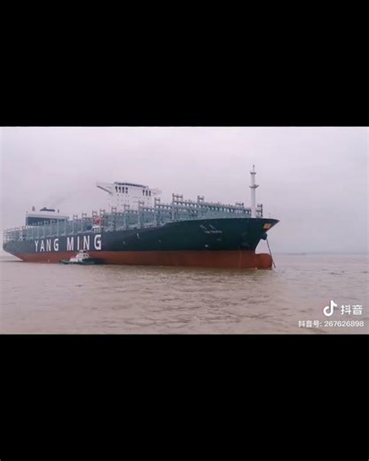 YM Truth #shorts #shortvideo #reels #jangkauanluas #shipyard #cargoship #tanker #containership