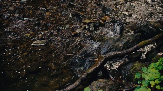 Introducing ZagAI review agents for iOS, iPadOS, and macOS developers.Zag runs agents in real Apple developer environments with Apple Silicon, Xcode, simulators, and your complete toolchain. Describe agents in TypeScript or Swift that do code review, QA, security, or App Store compliance, and run them on every PR.