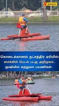 கொடைக்கானலில் இனி மஜாதான்... நட்சத்திர ஏரியில் சைக்கிள் பெடல் படகு சவாரி #local18