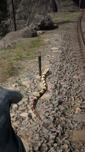 Mastering Survival Skill in Red Dead Redemption 2 #rdr2 #survivaltips #gamingshorts #gaming #shorts