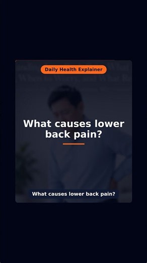 What Causes Lower Back Pain? | Daily Health Explainer
