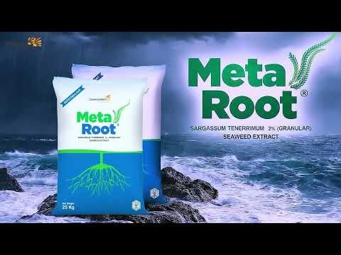 Coromandel Metaroot | Biostimulant | Sargassum Tenerrimum 2% Granular -Seaweed Extract