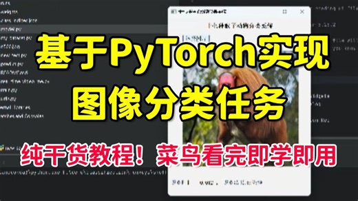 深度解析深度学习图像分类实战！手把手教学基于PyTorch实现十种猴子物种图像识别任务！迁移学习、CNN、数据预处理