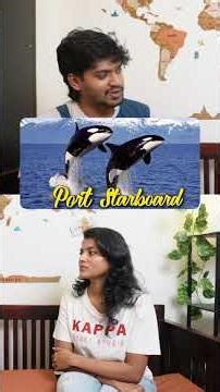 💀 What’s the DEADLIEST Animal in the Ocean? 🌊😱 You Won’t Believe This | Biscuits With Tea