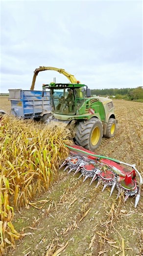 Silage John Deere 9900i forage harvester #silage