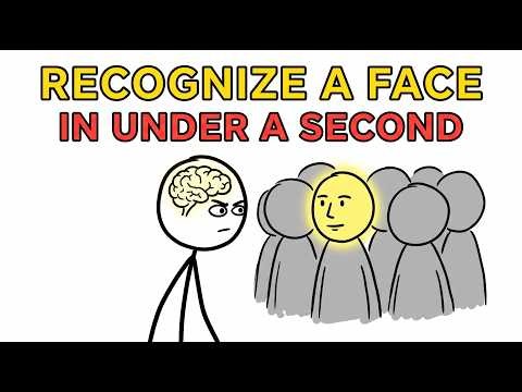 Why You Can Recognize a Face in Under a Second
