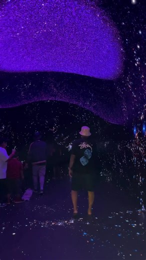 Okay tech nerds, we need to talk about DigiPark because this is what happens when art meets next-gen innovation. Real-time projection mapping, motion sensors that track YOUR movement, and immersive environments built on cutting-edge interactive systems. This isn't just pretty lights—it's spatial computing you can walk through. The tech stack behind this? Insane. If you're into how digital experiences are evolving, this is a live demo of where we're headed. Forget the metaverse hype, this is tang