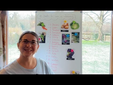 Seeds to Sow in January