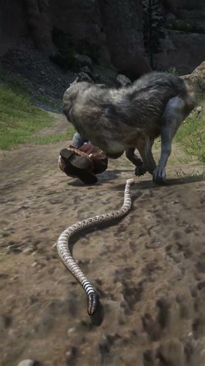 Wolf Attacks Man - Snake Bites Wolf to Save Him! RDR2 #shorts
