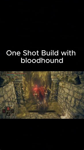 Bloodhound Fang Build Elden Ring