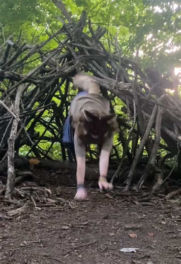 I found a den! 🐾 he/him #therian #nature #quadrobics #animalmask #furry