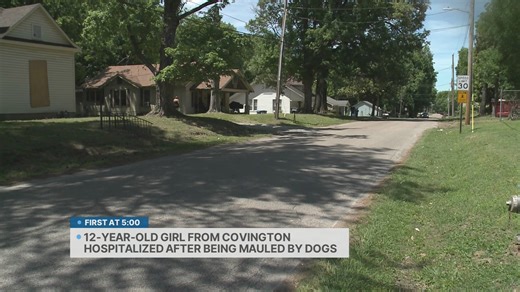 Tipton County woman appears in court after dog attacks girl