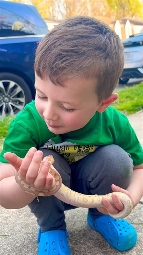 Everyone Was Nervous… Then This Snake Stole The Show 🐍