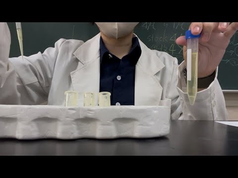 Serial dilution 的實驗操作