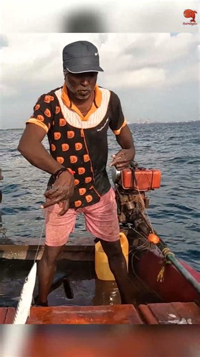 Barracuda Fishing with Squid Bait #fishing #fishingvideos #fishingtime