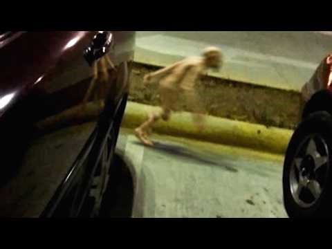 ROAD CCTV Camera Revealed Creatures We Didn't Know Existed!