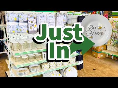 Dollar Tree 2026 | NEW Finds This Week😮😮😮