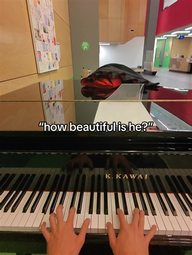 Beautiful Piano Cover of Patrick Watson's Melodies