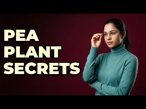 What Was Mendel's Method for Studying Heredity?