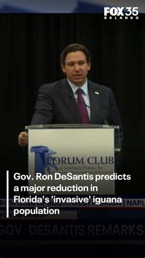 Gov. Ron DeSantis supports the opportunity to reduce the number of invasive species in Florida, including iguanas and pythons. 🔗⬇️ | FOX 35 Orlando