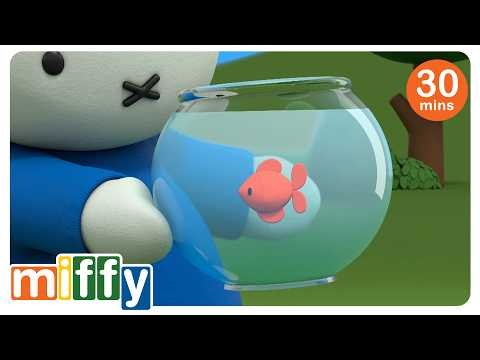 Miffy And The Goldfish | Miffy | Cartoons for kids