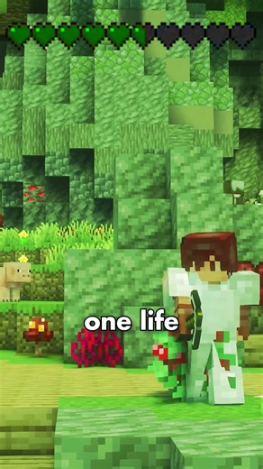 The End Of The Life Series? #hermitcraft #mcyt #minecraft #lifeseries #finallife